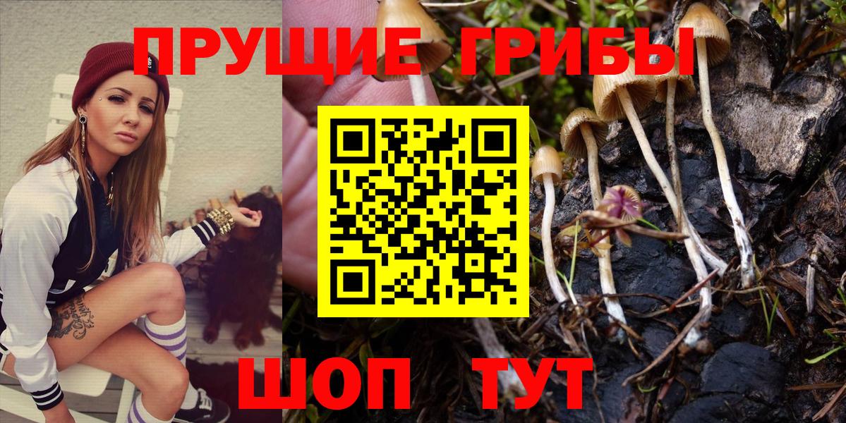 Псилоцибиновые грибы MAGIC MUSHROOMS  Вход с VPN  Нурлат  Галлюциногенные грибы мухоморы 